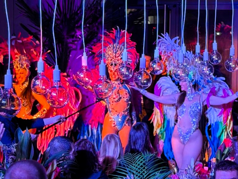 Danseuses brésiliennes passistas en costumes à plumes